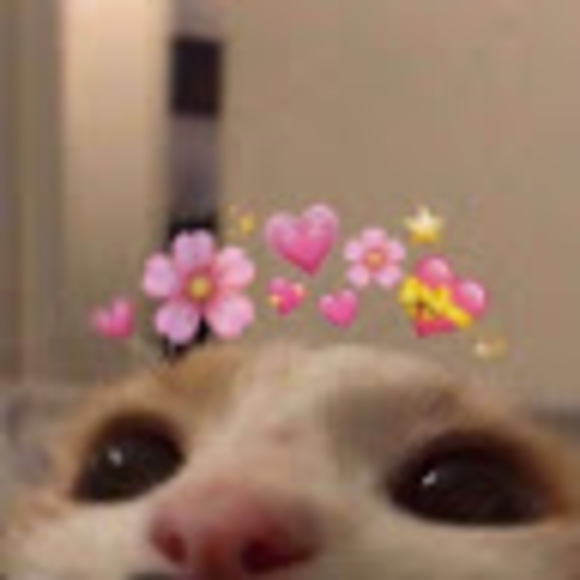 Meet your Posher, Jassell - Picture 1 of 1